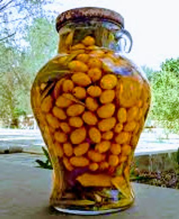 'il-perla maltija' aka the Maltese white endemic olives. mediterranean lifestyle