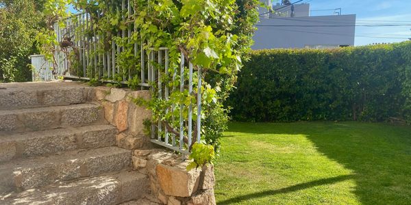 Student receiving guidance from academic advisor"