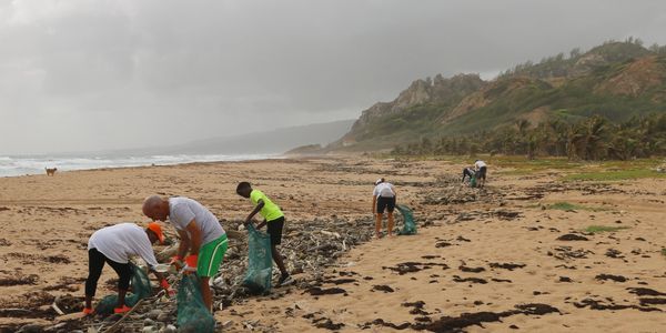 People cleaning up rubbish on a beach.