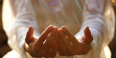 Hands cupped together, bathed in warm sunlight.
