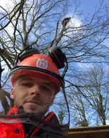 TREE SURGEON IN READING
CROWN REDUCTION