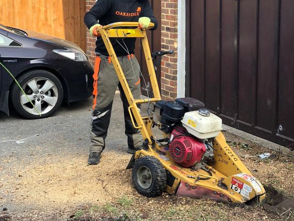 STUMP GRINDING IN READING
