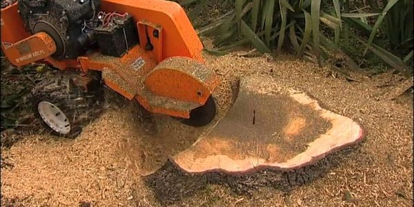 STUMP GRINDING IN READING