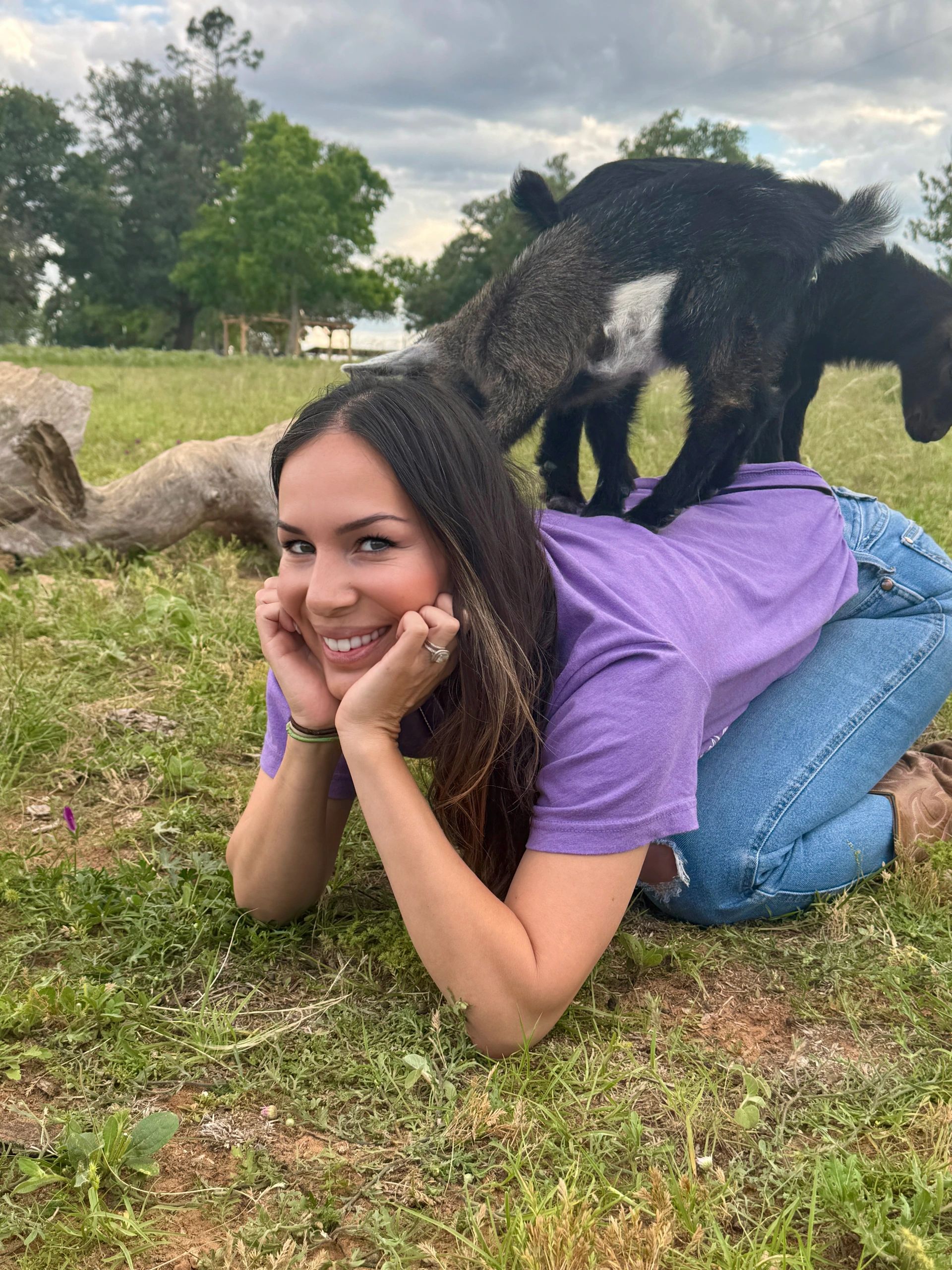 Baby Nigerian Dwarf Goats love climbing your back.