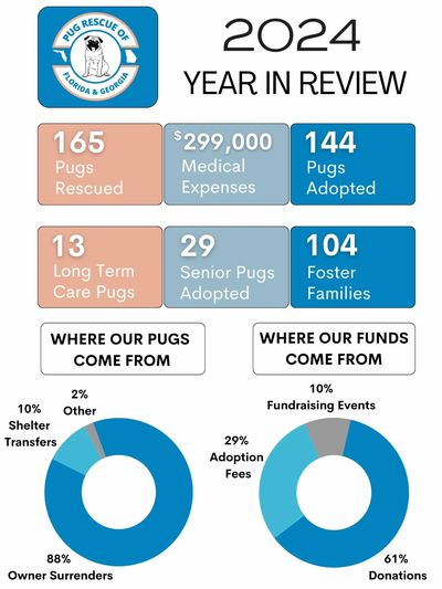 Pug Rescue of Florida of Georgia 2024 Year in Review