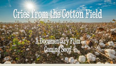 Text "Cries from the Cotton Field, a documentary film coming soon," overlays a cotton field.