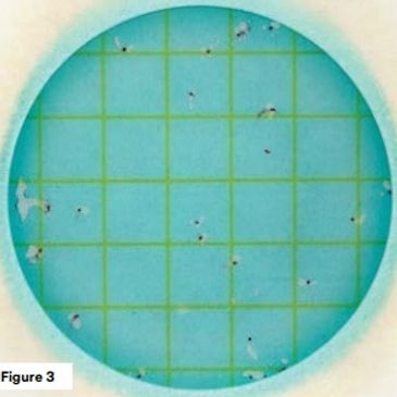 Lactic Acid Bacteria Count Plate
 