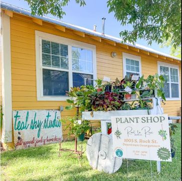 Yellow building with plant shop and teal sky studio signs.