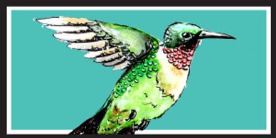 ruby throated hummingbird