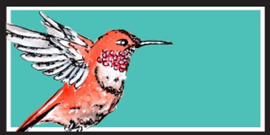 rufous hummingbird
