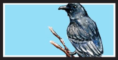 Tamaulipas Crow
