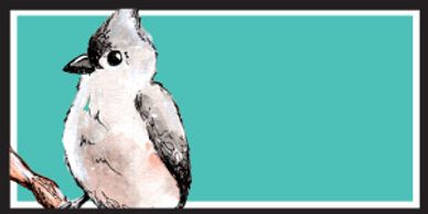 tufted titmouse