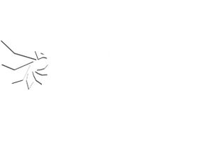 NC Consulting Solutions