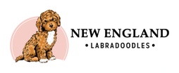 New England Labradoodles