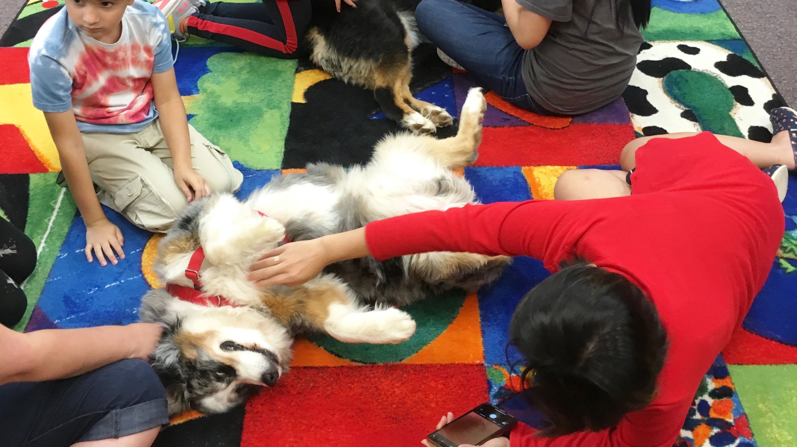 Children petting dog