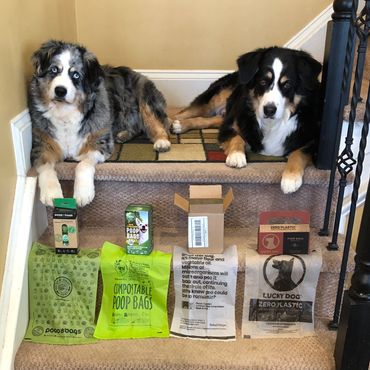 Dogs; Compostable; poop bags