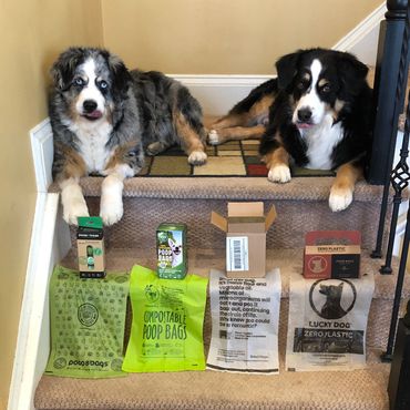 Dogs; Dog Waste Bags; Dog Poop Bags; Compostable
