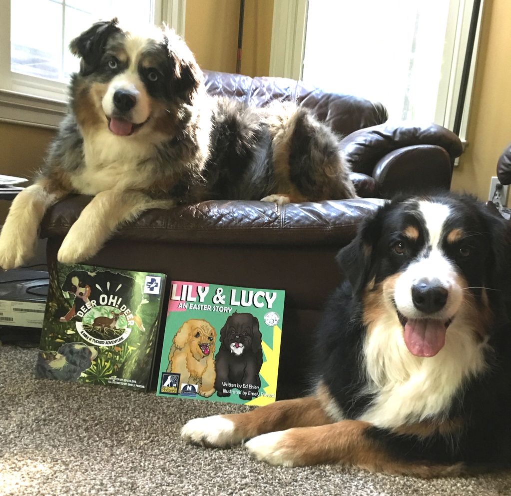 Australian Shepherd dogs posing with books.