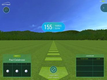 Golf Simulator Pratice Tee
