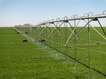 Center-pivot irrigation system watering a crop field near Dimmitt, Texas.