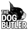 The Dog Butler, Inc.

(781) 706-9090    

 terry@thedogbutler.com