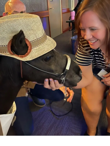 911 Dispatcher visiting with a Therapy Mini Horse