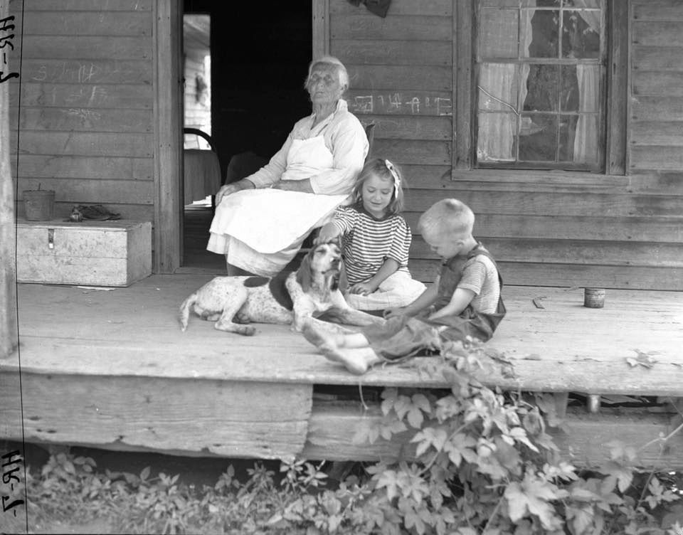 One of the last photographs taken of Japan, NC at the farm of James & Callie Pilkington, June, 1944.