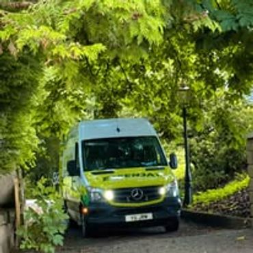 Ambulance parked on a tree-lined path.