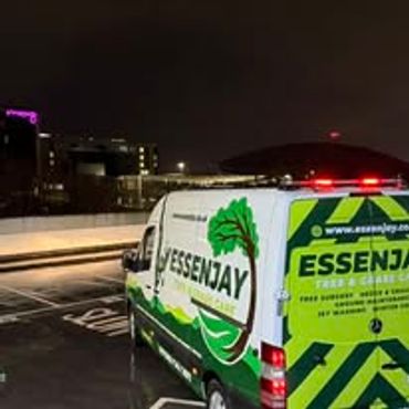 Delivery van parked at night in a city setting.