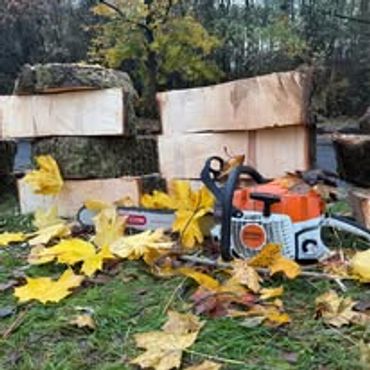 Chainsaw with cut logs and autumn leaves.