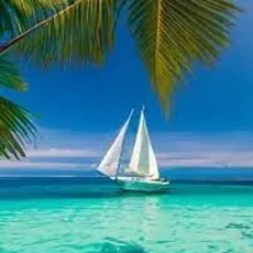 Sailboat in the tropic