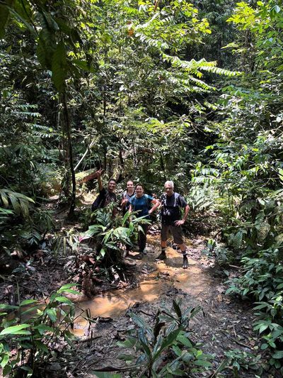 Guests trekking with a local guide on a rainforest trail in Bukit Lawang, Sumatra.