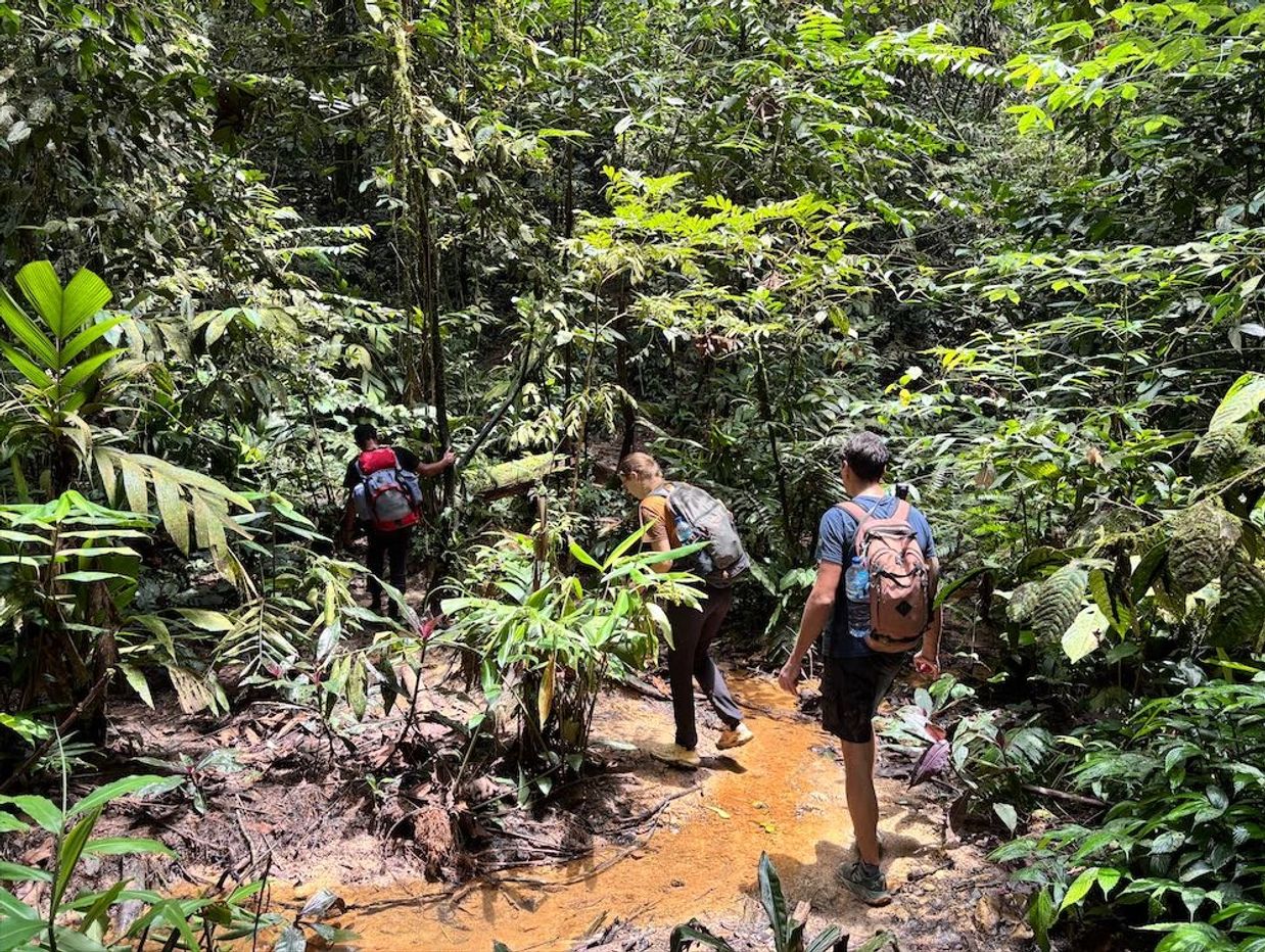 Travellers crossing a shallow stream during a jungle trek in Bukit Lawang, Sumatra.