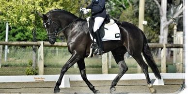 Heathcte Park Heiress
