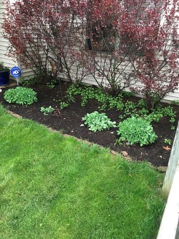 Bettendorf mulch installation
Davenport mulch installation
Mulch Bettendorf IA
Mulch Davenport IA