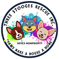 Three Stooges Rescue