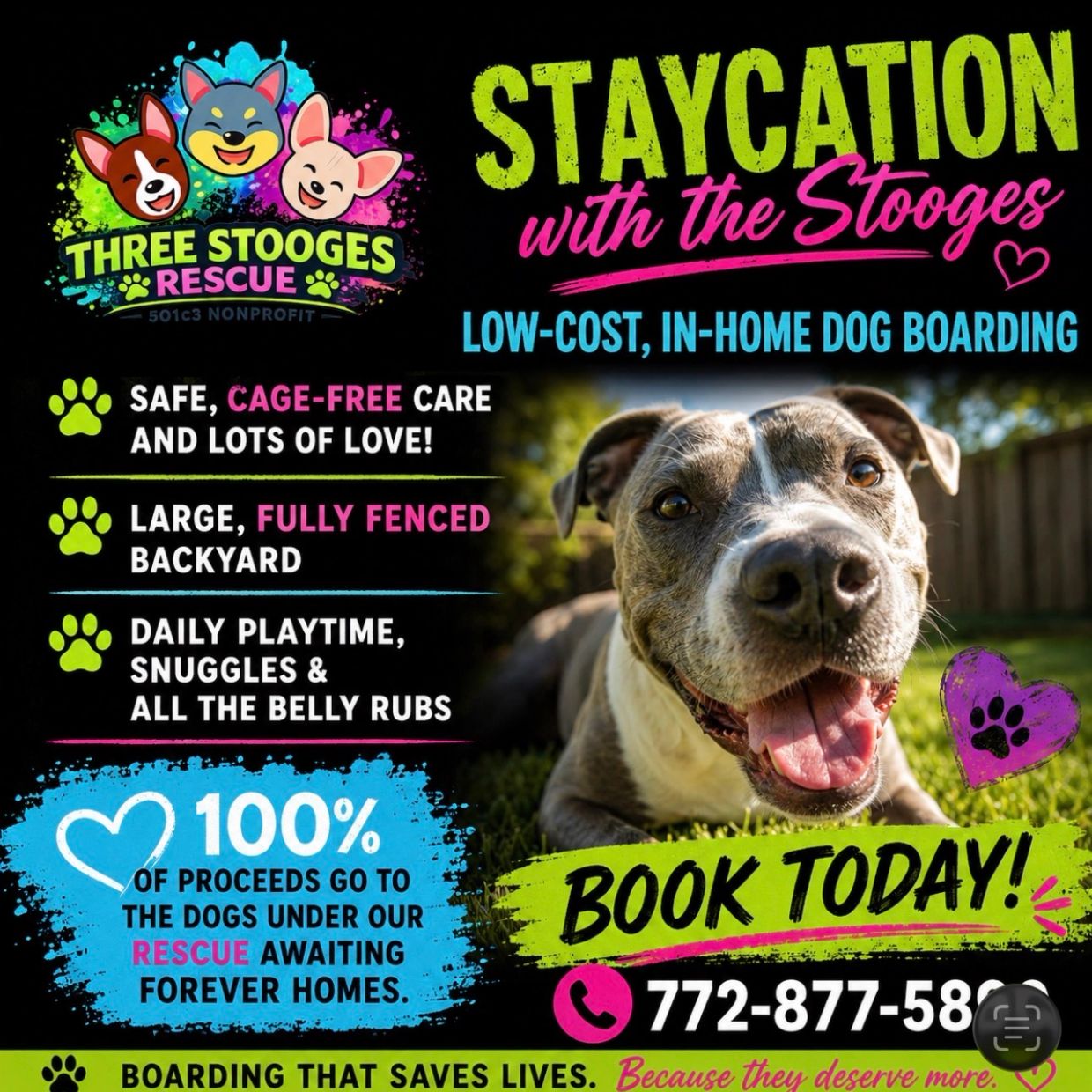Advertisement for Three Stooges Rescue dog boarding services with happy dog image.