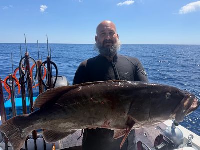Hunt Gulf wrecks and offshore structure on a private Florida scuba spearfishing charter
