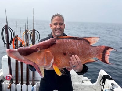 Private Florida Middle Grounds day trip for experienced spearfishing divers,