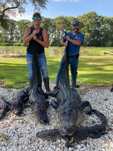Louisiana Alligator Hunts