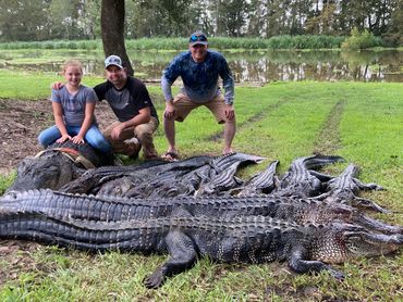 alligator hunts family