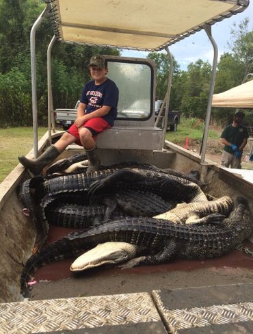 Young boy hunting alligators