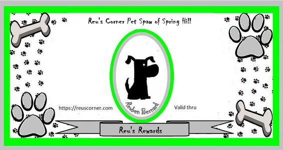 Reu's Rewards Cash with dog in center, paw and bones in corners.  Coupon for purchase of our tees.