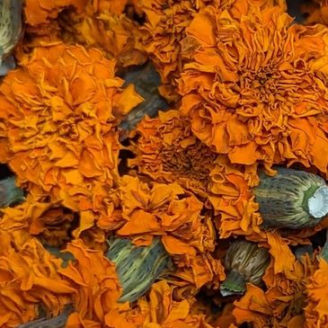 Marigolds. Large and vibrant.