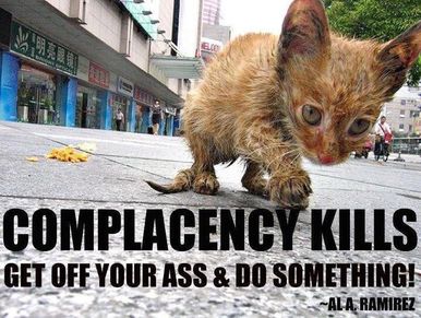 Complacency kills.  If you see a stray cat who obviously needs help. please do not just walk by.  If
