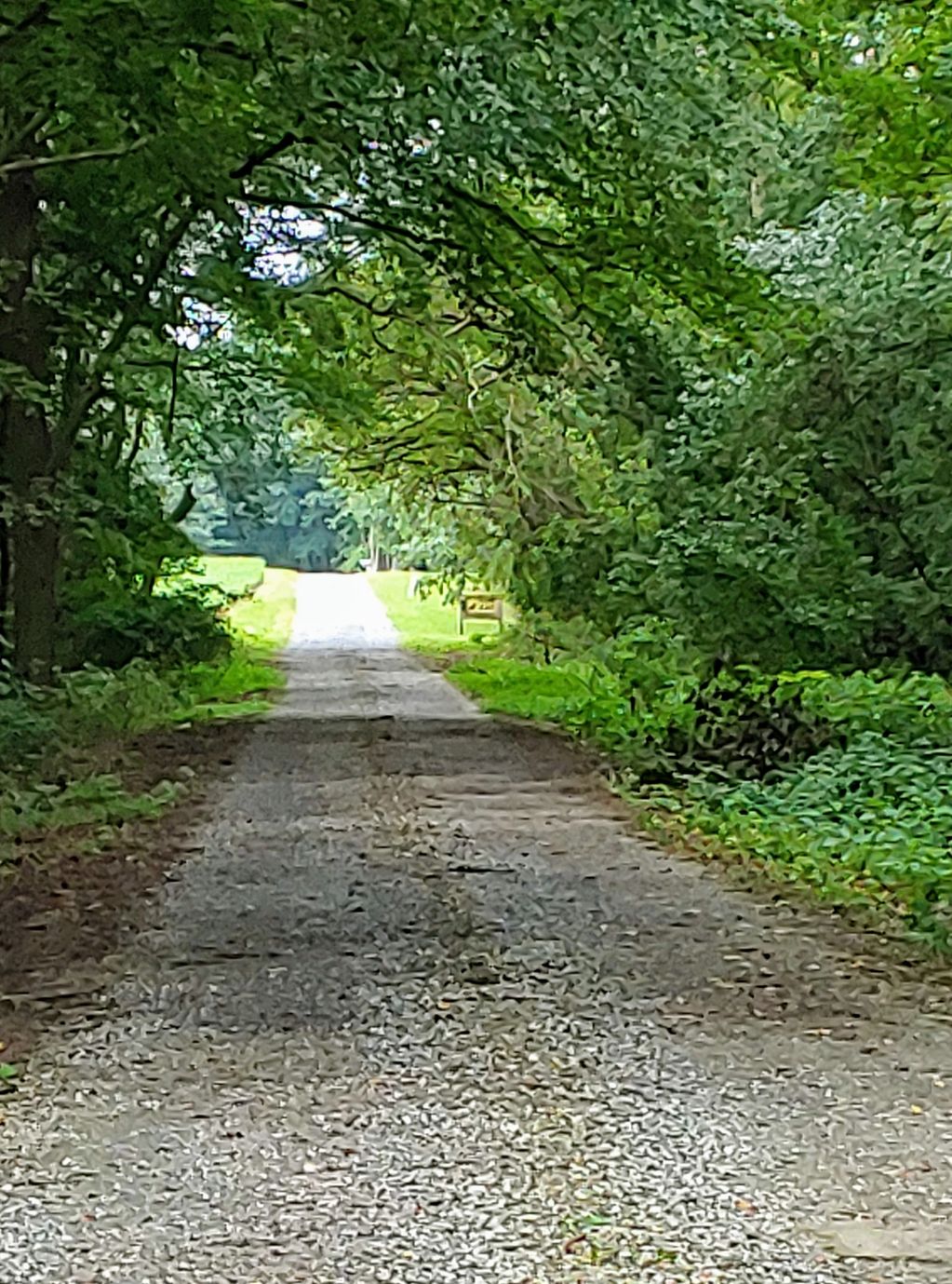 The long road leading to the cat sanctuary. Many cats are dropped off here. Sarah cares for them.
