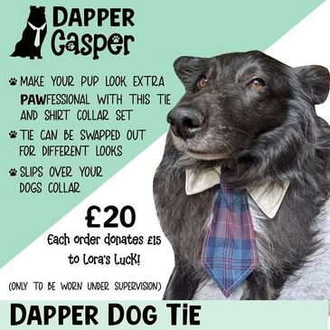 Dapper Casper logo- a dog with a tie on and a descripton. 