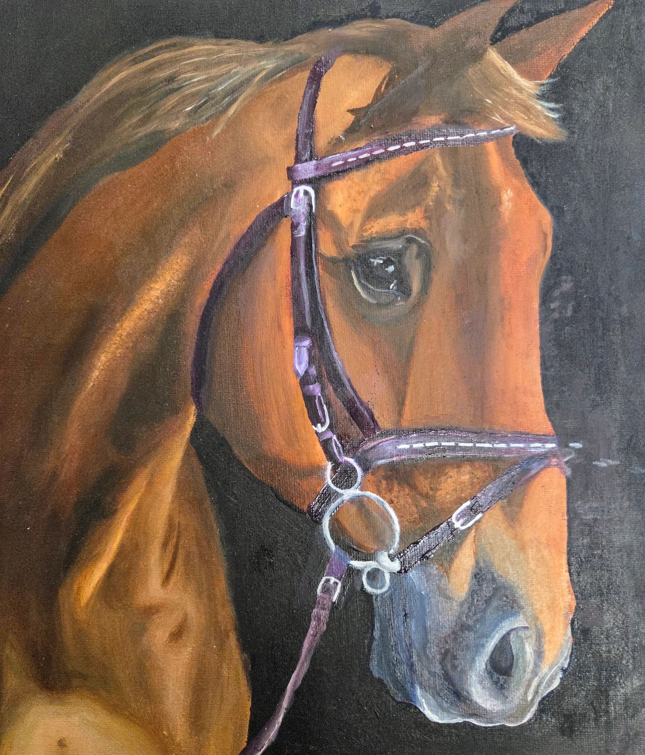 Oil painting of a horse - Eva, 14 years