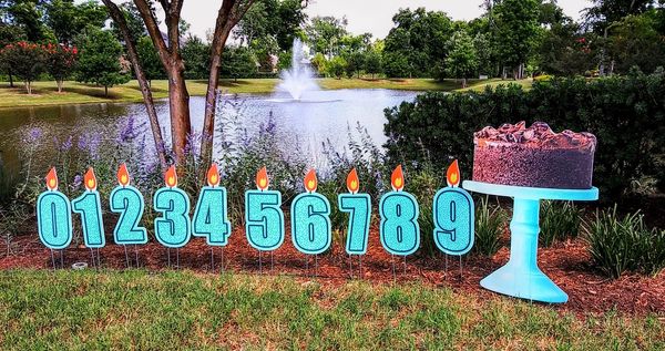 Happy Birthday Yard Display