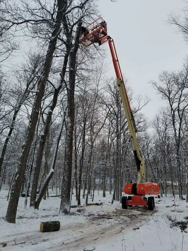 Aspen Ridge Tree Service performing tree trimming in winter
